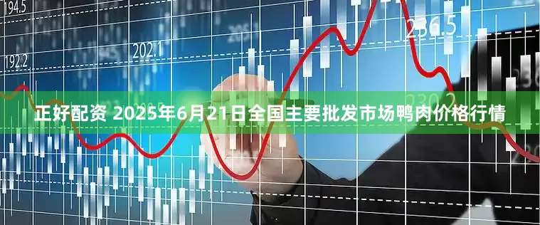 正好配资 2025年6月21日全国主要批发市场鸭肉价格行情